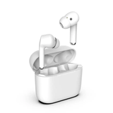 TC1600-09Y OTC Hearing Aids for Mild to Moderate Hearing Loss People